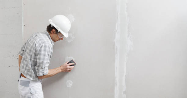 Best Wallpaper Removal and Painting  in Woodridge, IL